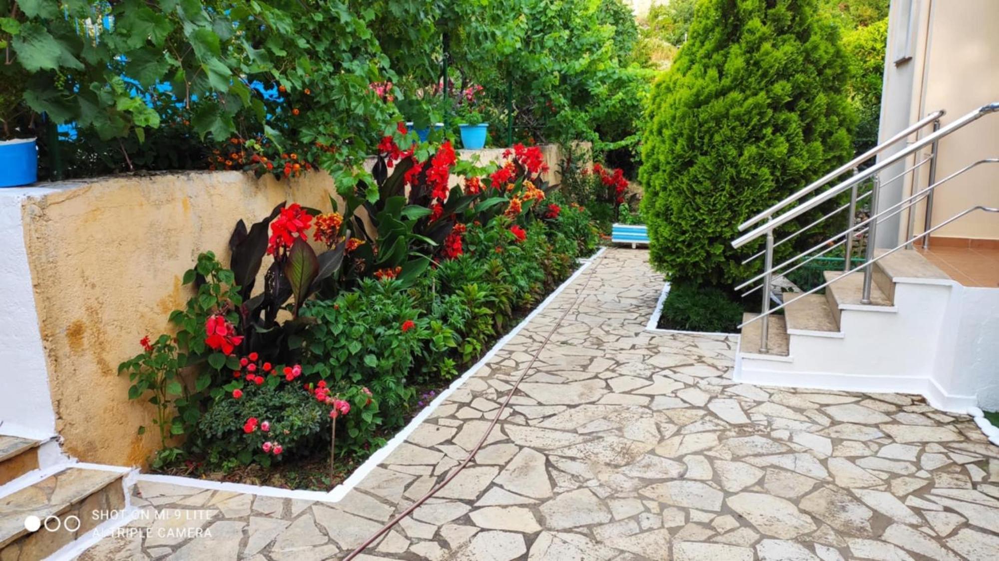 Vasil Rooms Lukove Exterior photo